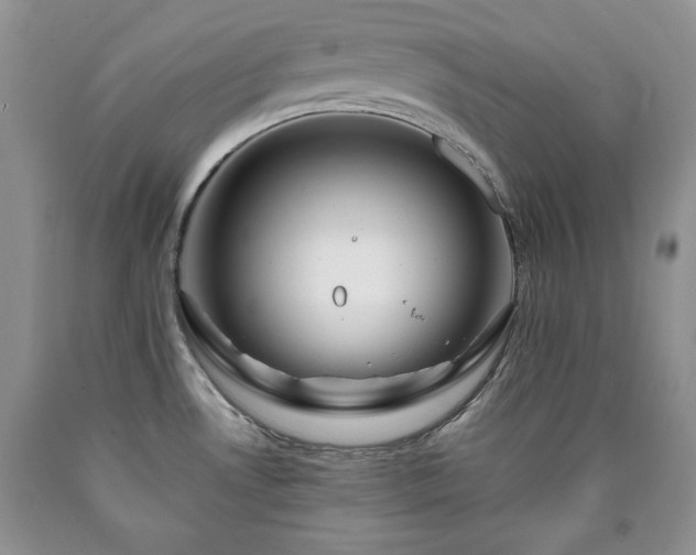 X0000090441530200707201243