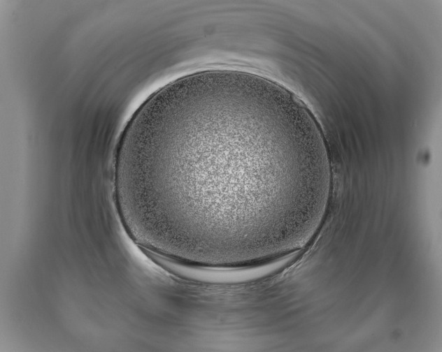 X0000090441531200707201243