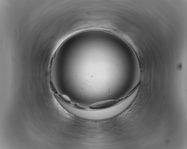 X0000090441532200707201243