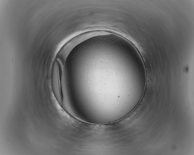 X0000090441534200707201243