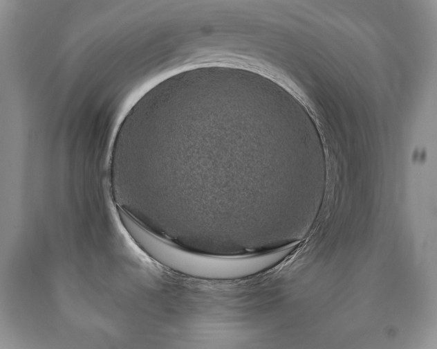 X0000090441536200707201243