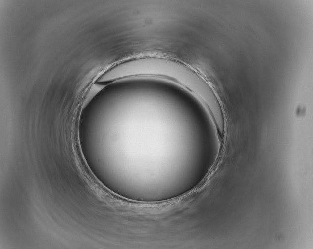 X0000090440001200707272204