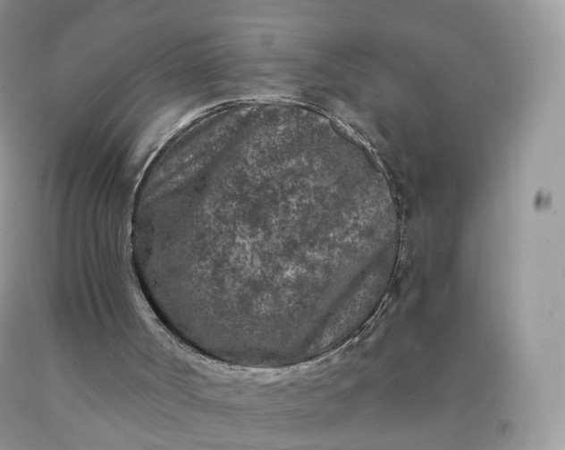 X0000090440002200707272204