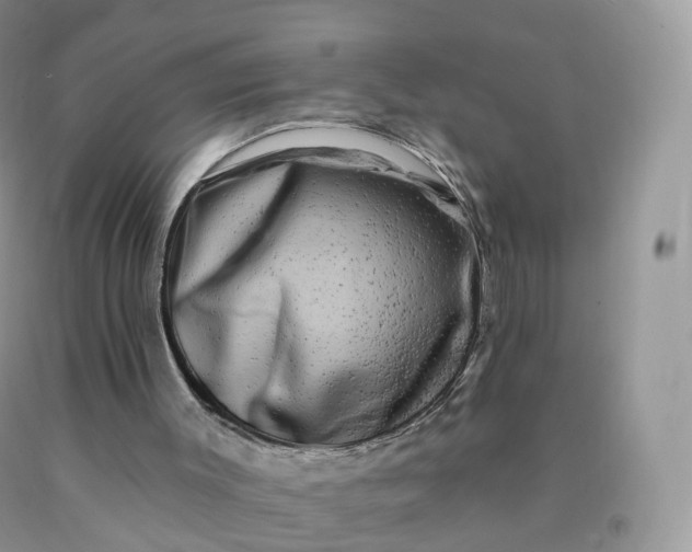 X0000090440003200707272204