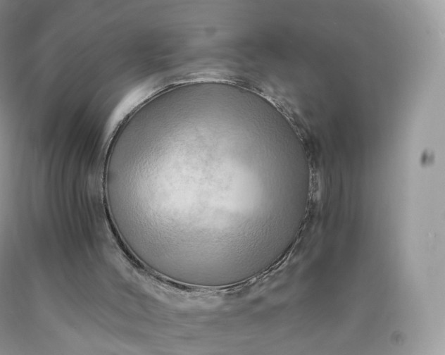 X0000090440004200707272204