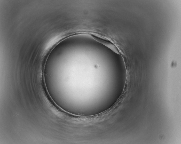 X0000090440005200707272204