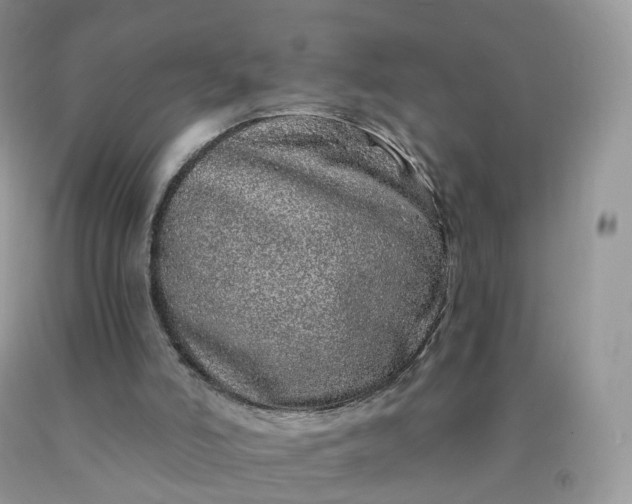 X0000090440006200707272204