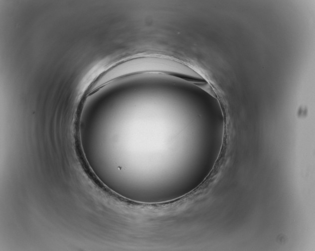 X0000090440007200707272204