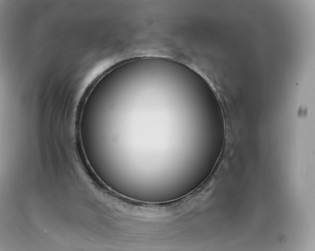 X0000090440008200707272204