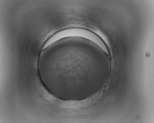 X0000090440009200707272204