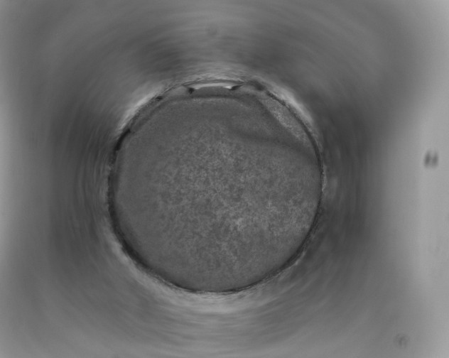 X0000090440010200707272204