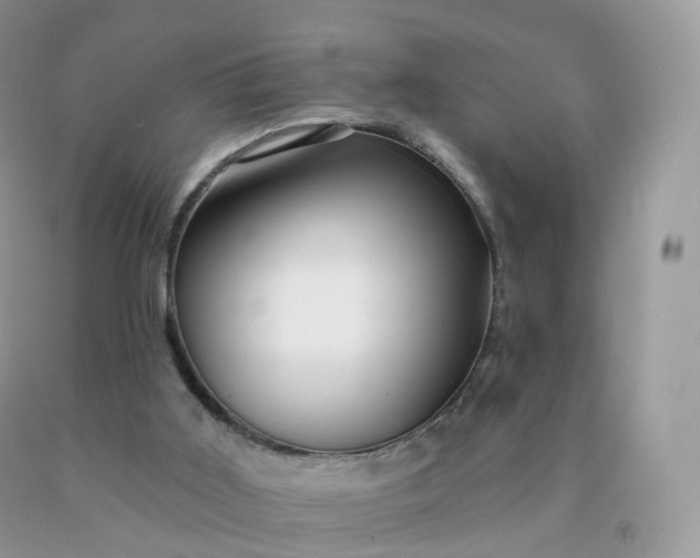 X0000090440011200707272204