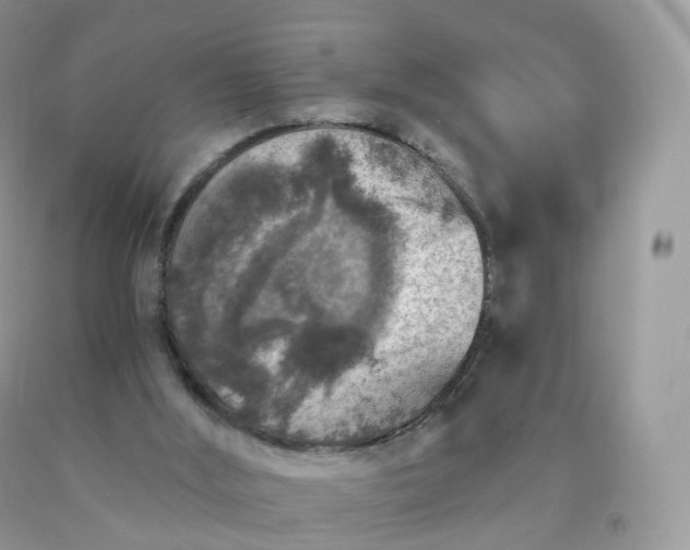 X0000090440012200707272204