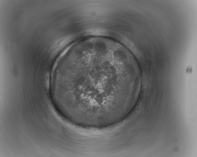 X0000090440014200707272204