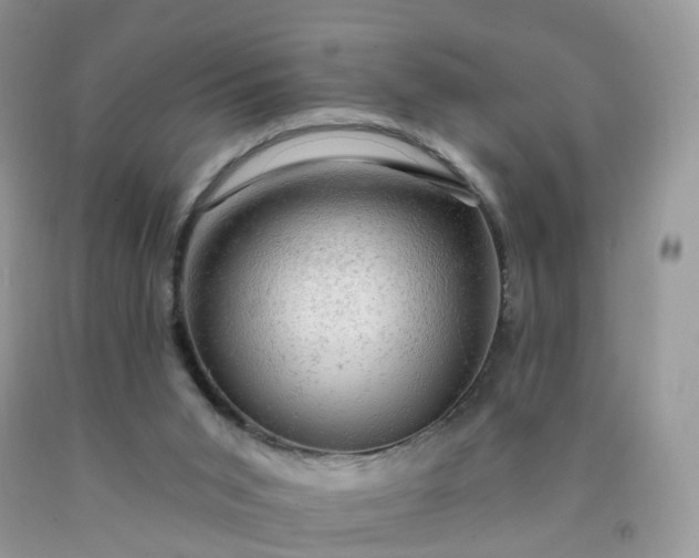 X0000090440015200707272204