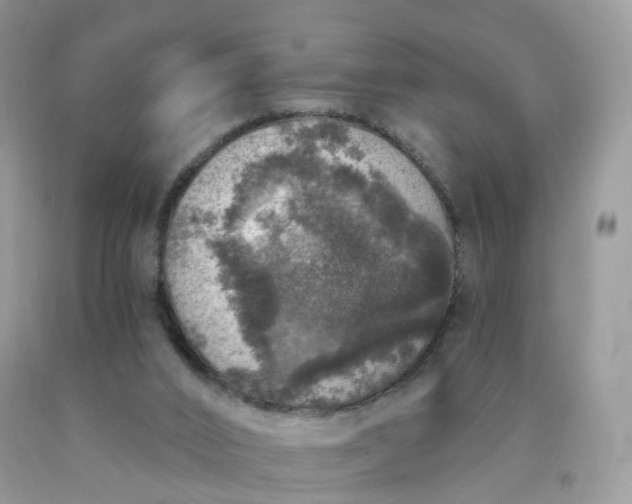 X0000090440016200707272204