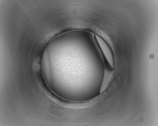 X0000090440017200707272204