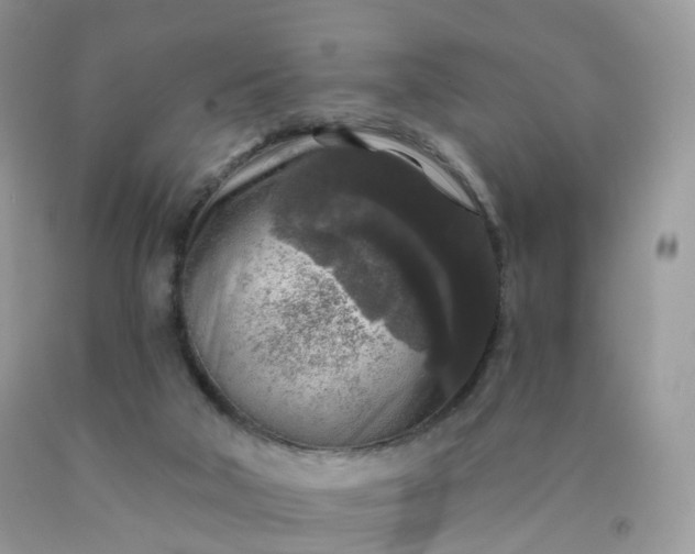 X0000090440018200707272204