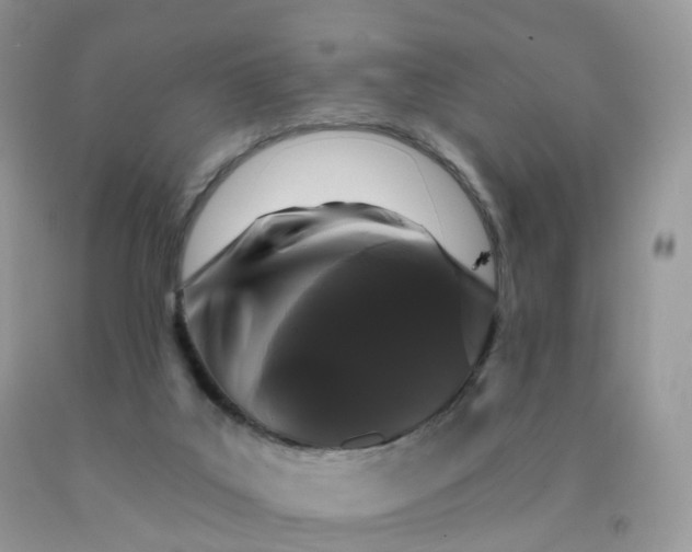 X0000090440019200707272204