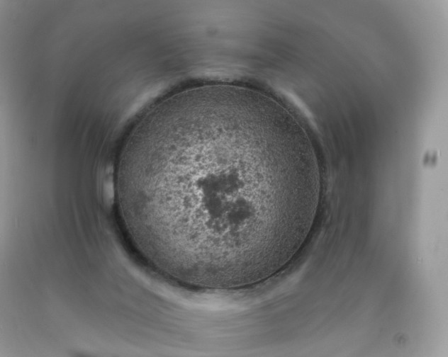 X0000090440020200707272204