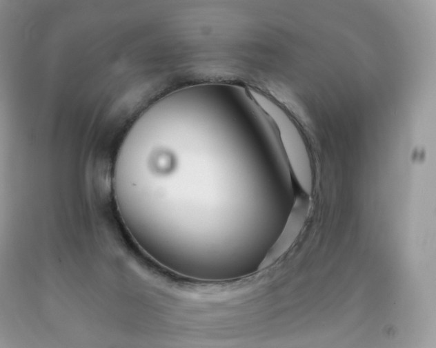 X0000090440021200707272204