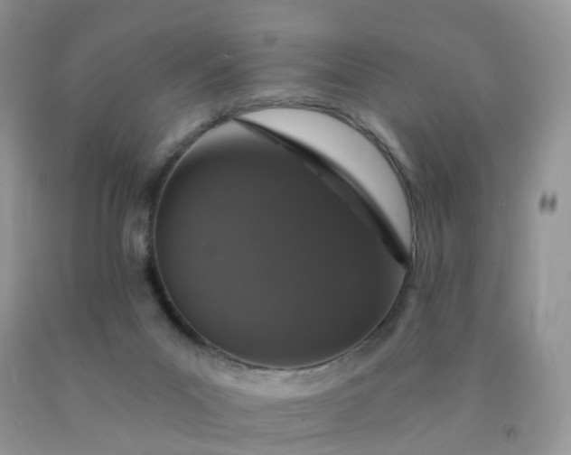 X0000090440023200707272204