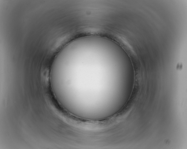 X0000090440024200707272204