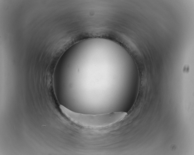 X0000090440025200707272204