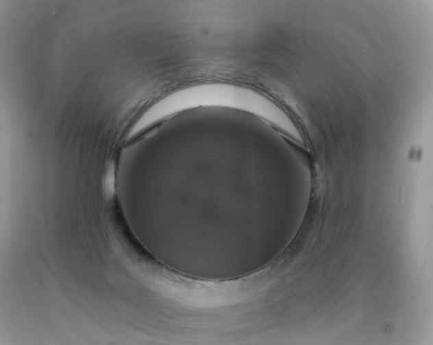 X0000090440027200707272204