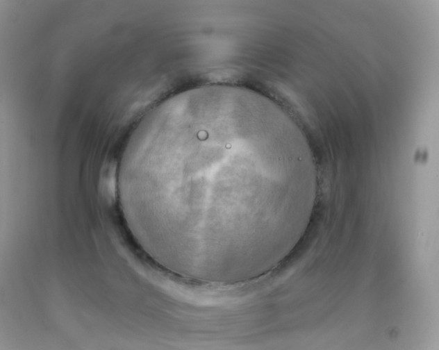 X0000090440028200707272203