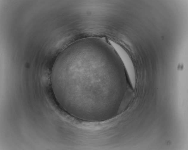 X0000090440029200707272203