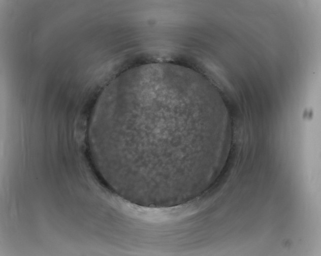 X0000090440030200707272203