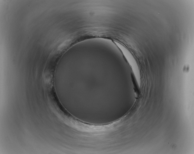 X0000090440031200707272203