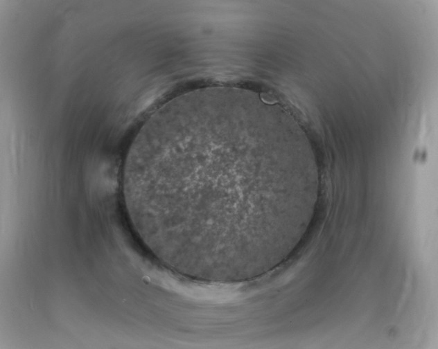 X0000090440032200707272203