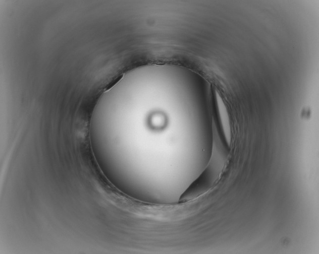 X0000090440033200707272203