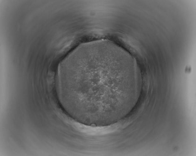 X0000090440034200707272203