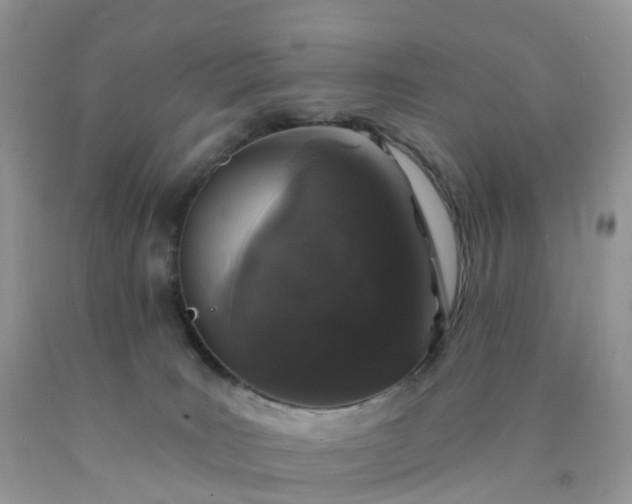 X0000090440035200707272203