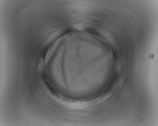 X0000090440036200707272203