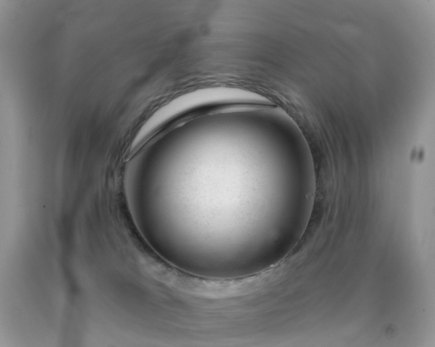 X0000090440037200707272203