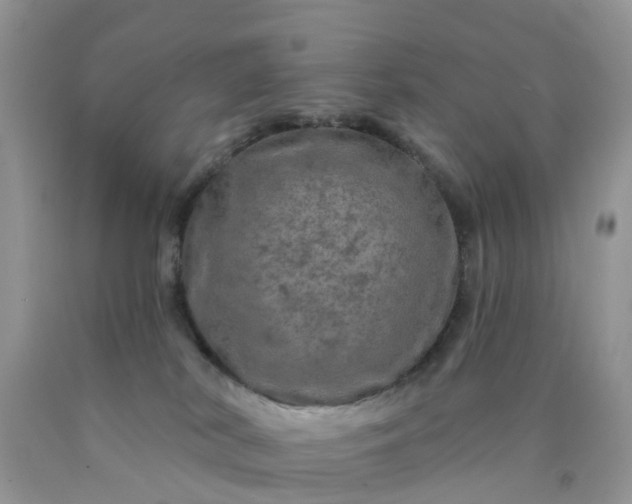 X0000090440038200707272203