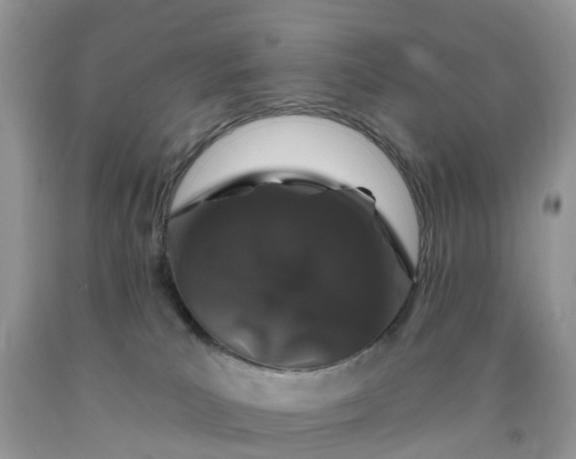 X0000090440039200707272203