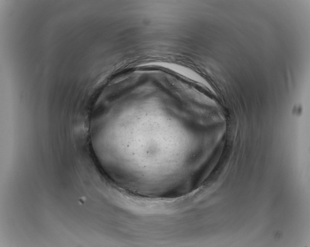 X0000090440040200707272203