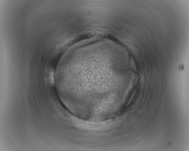 X0000090440042200707272203