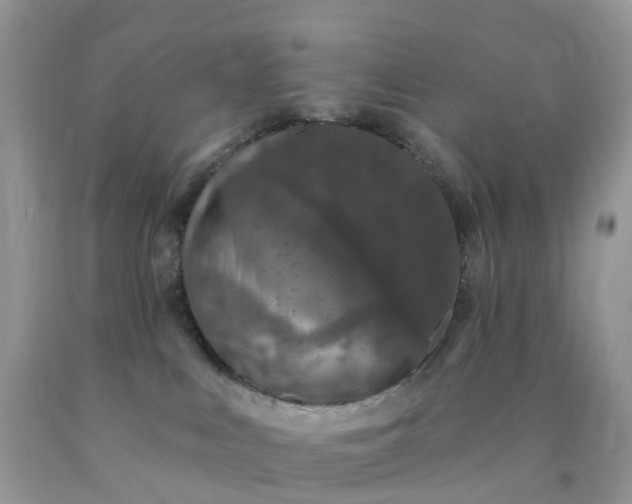 X0000090440043200707272203