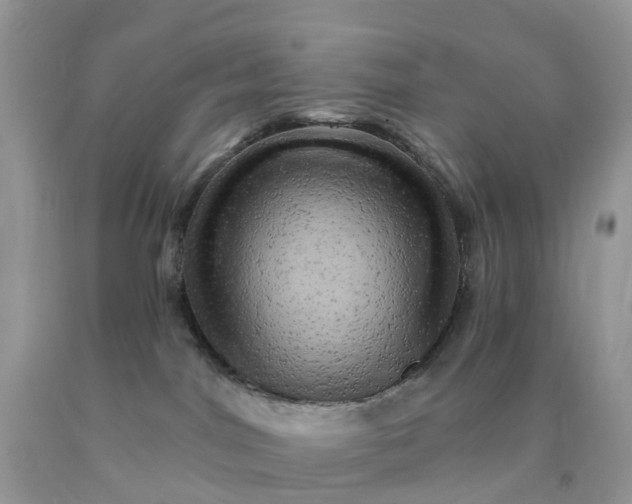 X0000090440044200707272203