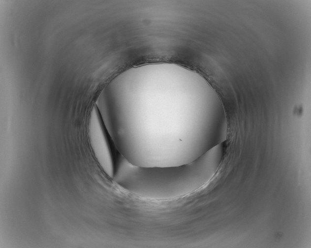 X0000090440045200707272203