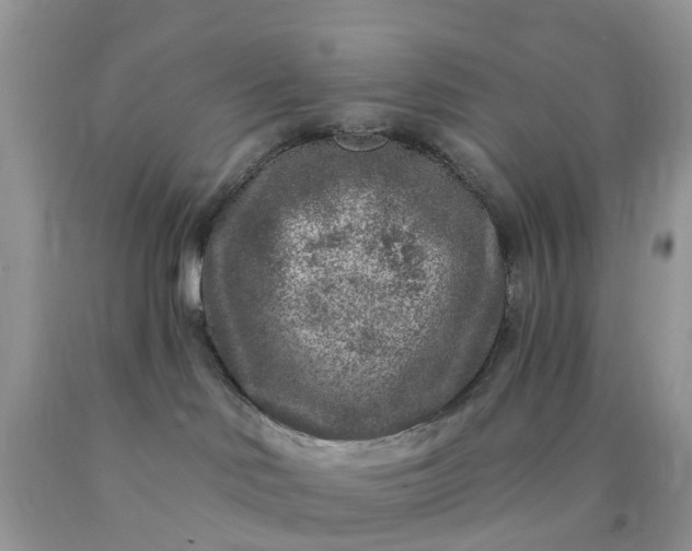 X0000090440046200707272203