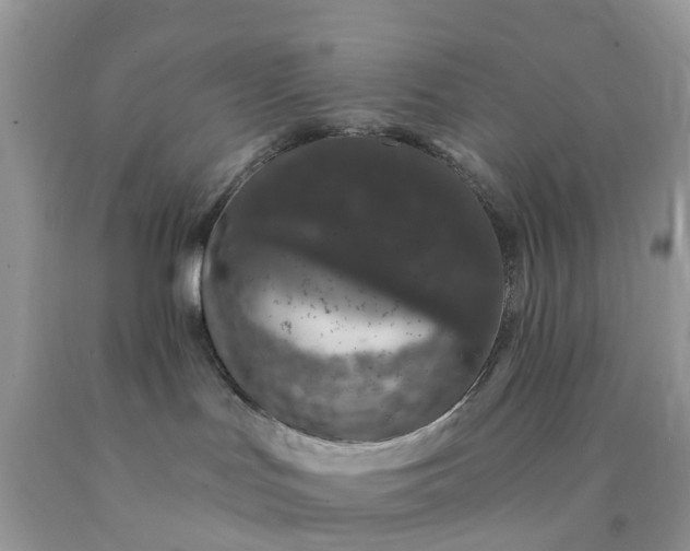 X0000090440047200707272203