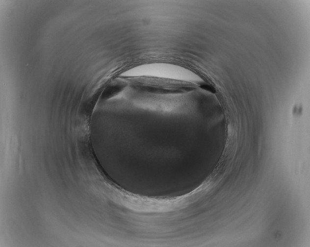 X0000090440048200707272203