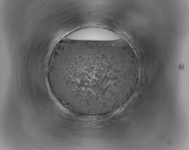 X0000090440049200707272203